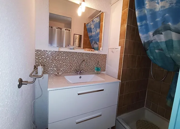 Apartamento Climatisé Face Avec Parking à - Fr-1-338-539